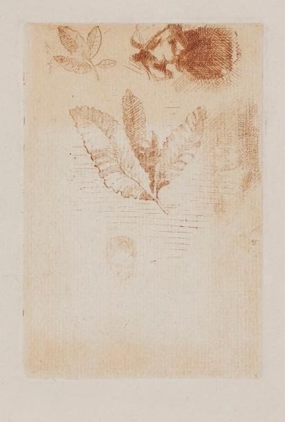 Odilon Redon (1840-1916)
Croquis. Avant 1870. Eau-forte. 81 x 121. Mellerio 13. Impression en sanguine. Très belle épreuve sur vergé, du tirage à 15 épreuves effectué en 1922 sur le cuivre réduit en tête. Salissures (traces d’encre) marginales. Légère oxydation du feuillet. Toutes marges.
