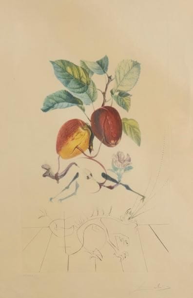 Salvador Dalí (1904-1989)
Pomme dragon. (Pl. pour Flordali – Les fruits). 1969-1970. Lithographie et pointe sèche avec gaufrage par les ateliers Rigal et Matthieu. Michler et Löpsinger 344. Impression en couleurs. Belle épreuve sur vélin crème fort, l’une des 150 numérotées en chiffres romains, revêtue d’une signature au crayon. Traces de plis épars, certains cassés. Auréole d’humidité le long du bord inférieur du feuillet. Toutes marges. Cadre. 