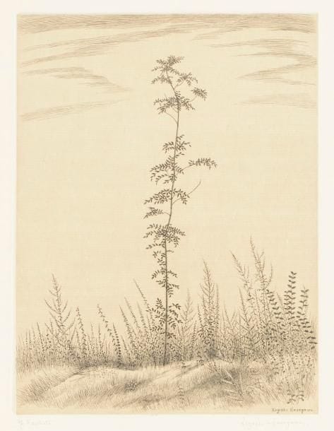Kiyoshi Hasegawa (1891-1980)
Un jeune arbre. 1953. Eau-forte. 241 x 322. Reifu-Syobo 293. Parfaite épreuve sur japon vergé mince appliqué, annotée « ép. d’artiste » et signée au crayon, dédicacée en pied « à Monsieur et Madame Jean-Claude Romand / Meilleurs souhaits de bonheur 1955 » et resignée. Toutes marges. Tirage définitif à 50 épreuves. 