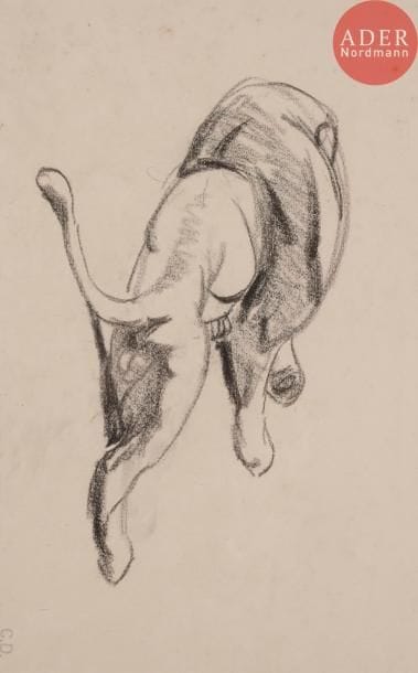 Charles DELHOMMEAU (1883-1970)Lion couchéDessin au crayon noir.Porte le timbre du monogramme en bas à gauche.20 x 32 cm