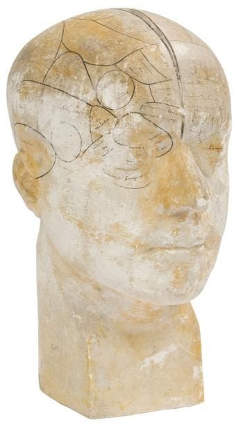 Curiosité, circa 1830
Tête phrénologique en plâtre suivant le système de Gall déterminant les différentes activités neurologiques et dispositions psychiques de l’être humain. Signée Gall sur la base et Spurzheim. 
Hauteur : 32 cm
