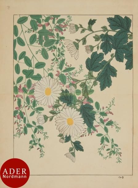 Tomioka Tessai (1836 -1924)
Shiki no hana, Fleurs des quatre saisons, ensemble de huit albums (sur dix) représentant des plantes et des fleurs. Datés Meiji 40 et 41, soit 1907 et 1908.