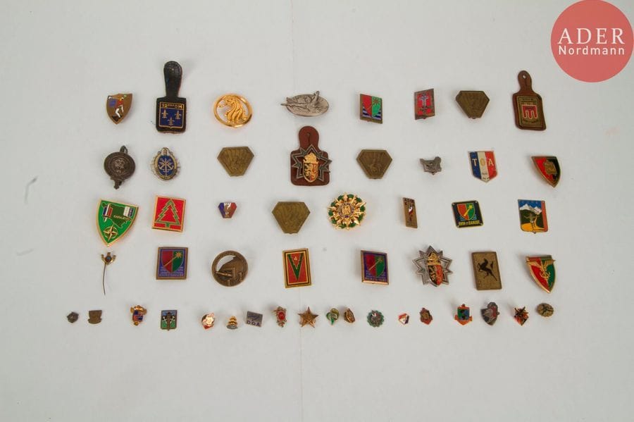 FRANCE - GRANDES UNITÉS 
Un lot de 30 insignes dont CEF, Centre de jeunesse et de santé CCFA, TOA, 5DB, AURES NIMCHA ? 12 DB, cm 70, SFOR, SCA dont un en argent Forces françaises en Allemagne. On joint 20 miniatures dont CEFEO. B.E. (Quelques attaches manquantes)