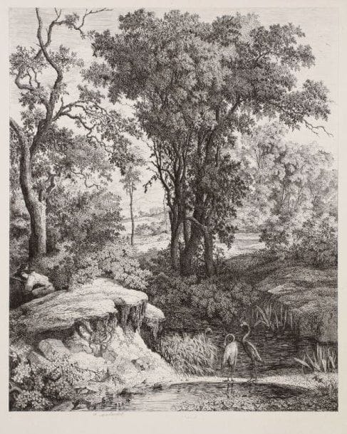 Charles Malardot (1817-1879)
Paysage avec trois flamants au bord d'une mare. 1843. Eau-forte. 366 x 463. Bellevoye 7 ; I.F.F. 4. Très belle épreuve sur grand chine appliqué. Rousseurs claires éparses sur le support. Plis sur le coup de planche en tête et en pied. Toutes marges.