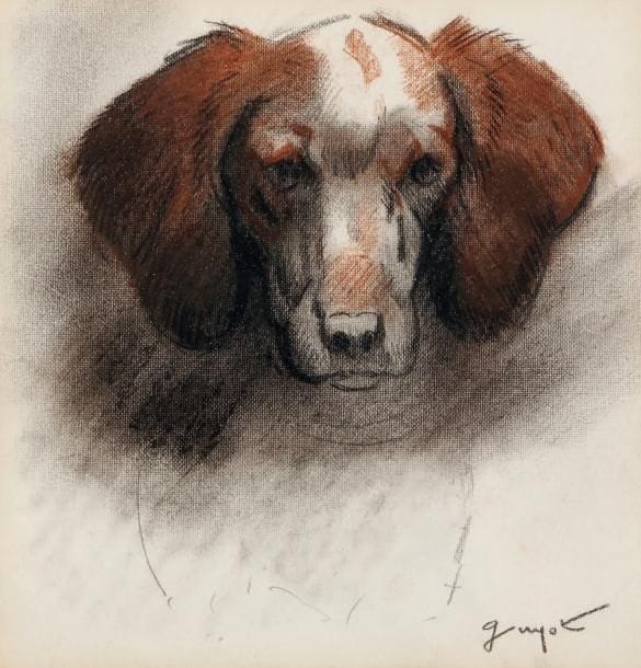 GEORGES LUCIEN GUYOT (1885-1973)
Portrait de chien Fusain et crayon conté. Signé en bas à droite. 14 x 14 cm.