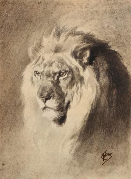 Ferdinand OGER (1872-1929)
Tête de lion Dessin au fusain et à l'estompe. Signé en bas à droite. 25,5 x 18,5 cm.