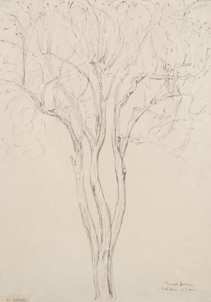 Marek SZWARC (1892-1958)
Arbre en hiver, 1942 Encre. Signée, localisée et datée 6 janvier 1942 en bas à droite. (Étiquette au nom de l'artiste collée en bas à gauche). 37 x 27 cm.