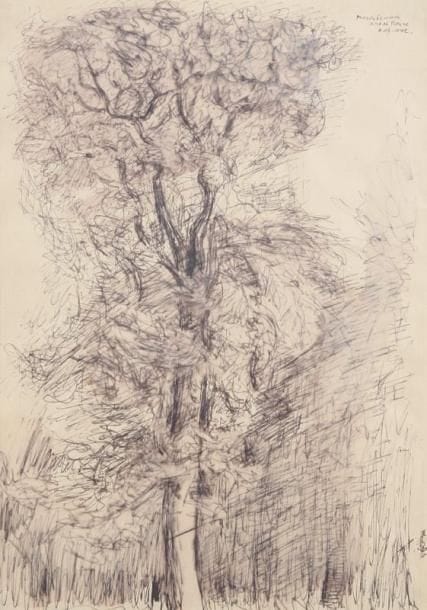 Marek SZWARC (1892-1958)
Arbre, 1942 Encre et estompe. Signé en haut à droite, daté 10 juillet janvier 1942 et situé à Nisbet house. 37 x 27 cm.