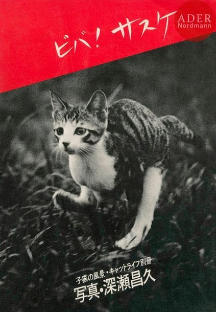 FUKASE, MASAHISA (1934-2012)
Viva! Sasuke.
Pet Life, 1978.
In-4 (29,5 x 21 cm). Édition originale, brochée. 64 pp. Couverture souple illustrée.
