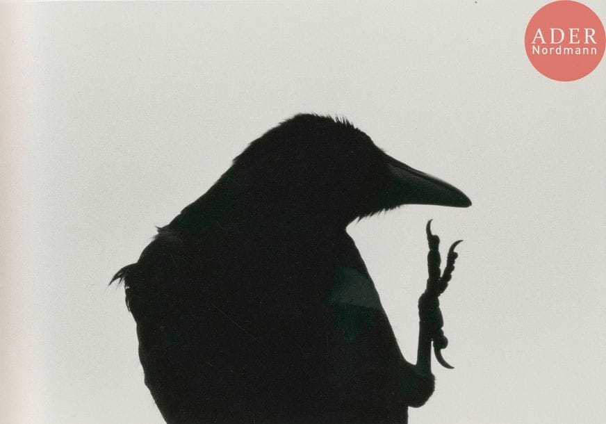 FUKASE, MASAHISA (1934-2012)
The Solitude of Ravens.
Rat Hole, Tokyo, 2008.
In-4 (26 x 26 cm). Réédition, limitée à 1000 exemplaires. Reliure en tissu noir avec silhouette d’un corbeau embossé et signature fac-similé rouge. Boîte d’éditeur marron.