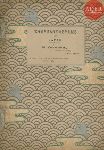 OGAWA, K. (1860-1929)
Chrysanthemums.
Tokyo, 1895. 
In-folio (40 x 30 cm). Édition originale brochée. 12 collotypes séparés par des serpentes. n.p.