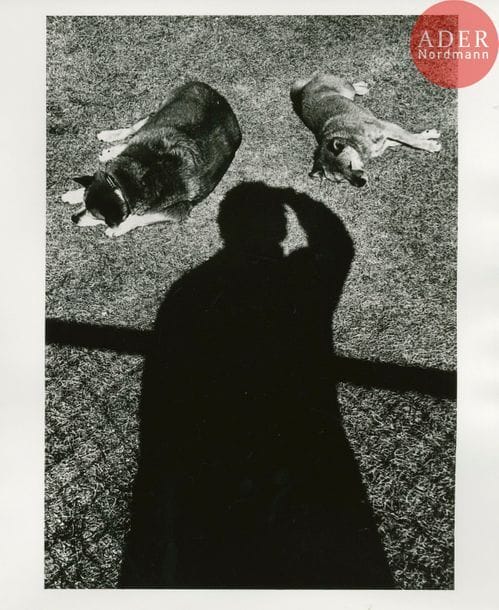 MORIYAMA, DAIDO (1938) 
Memories of a dog.
Nazraeli Press, Tucson, 2004.
In-4 (25 x 18,5 cm). Édition originale de luxe, limitée à 50 exemplaires signés, numérotés et accompagnés d’un tirage original signé et numéroté (50/50), présenté dans sa chemise d’éditeur. 181 pp. Couverture rigide sous jaquette illustrée. Coffret en tissu noir titré.