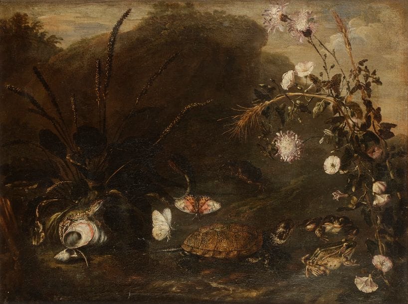 Attribué à Paolo PORPORA (vers 1617 - 1673)
Sous-bois animé
Toile 
65?x?51?cm
Restaurations anciennes, petits manques 
 