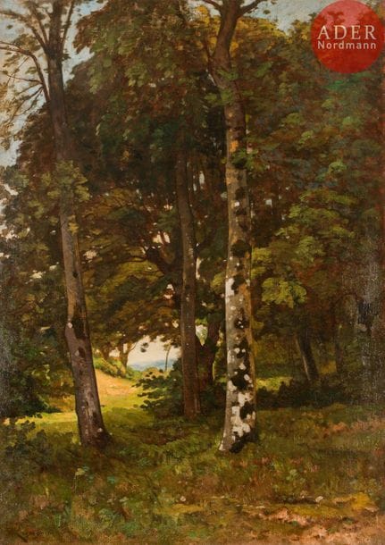 Henri Joseph HARPIGNIES (1819-1916)
Sous-bois, 1885
Huile sur toile.
Signée et datée en bas à gauche.
(Rentoilée).
100 x 71 cm