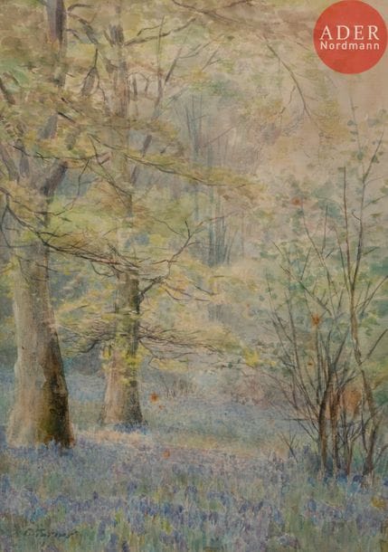 Ross Sterling TURNER (1847-1915)
Sous-bois
Aquarelle.
Signée en bas à gauche.
25 x 18 cm