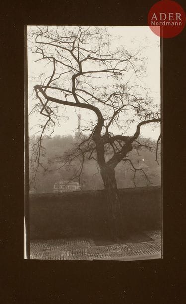 Josef Sudek (1896-1976)
Vue de la tour Petrin depuis les hauteurs de Prague, de la série Notes, c. 1950-1960.
Épreuve argentique d’époque. Annotations manuscrites de la main de Petr Helbich (assistant de Josef Sudek) au verso.
14 x 9 cm avec marges