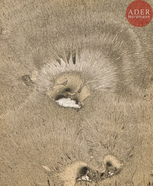 Jean-Pierre Sudre (1921-1997)
Anemonès, 1966.
Épreuve argentique d’époque (mordançage) montée sur panneau de bois, dans son encadrement d’origine, signée, titrée, datée et numérotée 1/1 (pièce unique) au verso du montage avec étiquette de prêt du MoMA et tampon de douane.
46 x 38 cm

 Cette épreuve a été présentée au MoMA de New York dans l’exposition A European Experiment. Photographs by Brihat-Cordier-Sudre, 1967.