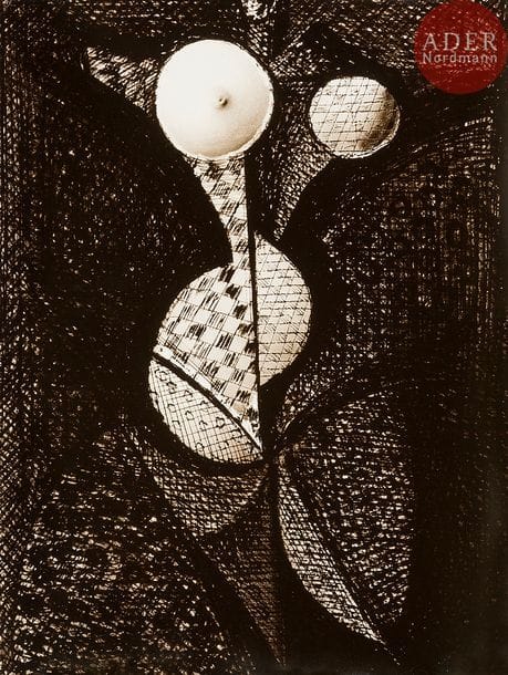 Brassaï (Gyula Halasz, dit) (1899-1984)
Transmutation I : Femme-fruit, 1934-1935.
Épreuve argentique (1967) tirée par Claudine Sudre.
40 x 30 cm

Bibliographie :
Alain Sayag, Annick Lionel-Marie, Brassaï : No Ordinary Eyes, Londres, Thames & Hudson, 2 000, pp. 213-221.
 Un certificat sera délivré par Agnès de Gouvion Saint-Cyr, exécutrice testamentaire de Brassaï.