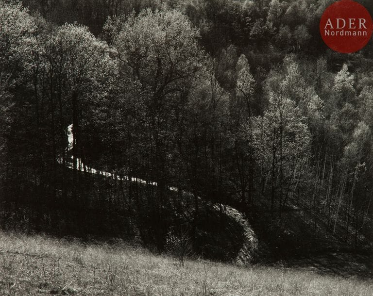 Paul Caponigro (1932)
New York. Thruway. 1970.
Épreuve argentique d’époque, contrecollée sur carton et sous passe-partout. Signature du photographe et date au crayon sur le montage et sur le passepartout. Titre et date au verso du montage.
19,5 x 24,5 cm avec marges