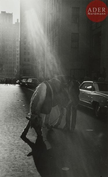 Louis Stettner (1922-2016)
New York. Rodeo Cowboy, 1972.
Épreuve argentique (c. 1990). Timbre sec du photographe dans la marge. Signature, titre, date et numérotation à 7 ex. au verso.
50,5 x 39 cm avec marges
Cadre