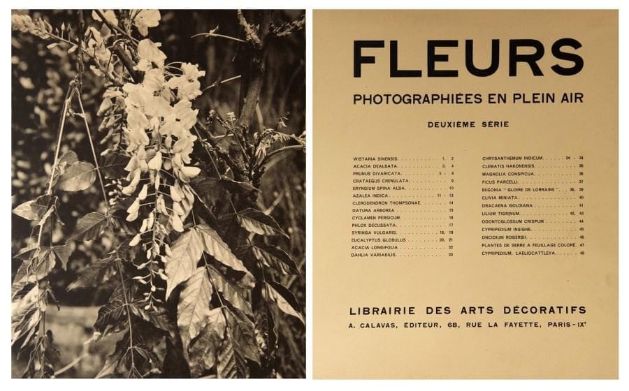 Fleurs photographiées en plein air. Deuxième série.  Librairie des Arts Décoratifs, Paris, c. 1925. 48 planches photographiques reproduites en héliogravures (34 x 26 cm) présentées en portfolio. 