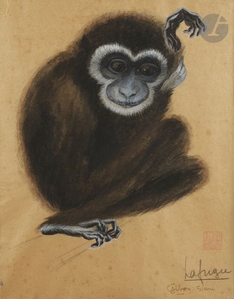 Léa LAFUGIE (1890 - 1972)
Gibbon, Siam
Fusain et gouache.
Signé en bas à droite.
Porte son timbre rouge chinois en bas à droite.
Porte une annotation en bas à droite.
32 x 25 cm