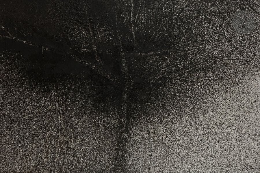 Mario PRASSINOS (1916-1985)
Grand arbre, 1981
Huile sur toile.
Signée en bas à droite.
Datée et titrée au dos.
130 x 195 cm

Provenance : 
- Galerie de France, Paris (étiquette au dos).
- Acquis directement auprès de Madame Yo Prassinos.

Exposition : 
Documenta, Kassel.