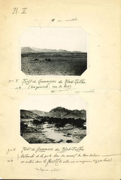 CROISIÈRE NOIRE. Louis audouin-Dubreuil (1887-1960) explorateur et militaire. 8 L.A.S. et 1 L.A., et 8 photographies originales, 1924-1948
Ensemble de documents du chef-adjoint de l’expédition Citroën en Centre-Afrique de 1924-1925, dite la « Croisière Noire ».
Correspondance amicale à son voisin et ami P. Pietri, ou à d’autres, où il est question d’invitations à dîner ou à consommer l’alcool et le tabac obtenus par le bon Abdallah, d’un dessin et d’un tableau exécutés par son ami, d’un cadeau de flacons pour un prochain voyage… « Je suis un sauvage – redevenu sauvage »… Hommage appuyé à l’ami, le conseiller et l’avocat, dont il loue le talent et la courtoisie (Zarzis, 8 mai 1948)… Photographies d’arbres et arbustes d’Afrique du Nord montées sur 4 feuilles, avec légendes autographes, destinées à publication… Programme d’une soirée de gala à l’occasion de la projection de La Croisière noire au Théâtre municipal de Tunis, 19 mai 1928, et carton d’invitation. 
On joint l’édition originale de La Croisière noire, expédition Citroën Centre-Afrique de Georges-Marie Haardt et Louis Audouin-Dubreuil, avec 80 gravures hors-texte, 4 cartes et 57 compositions décoratives (Plon, 1927, gr. in-4, couv. illustrée, qqs rousseurs int.), et envoi a.s. du 28 juin 1940 : « Après des années d’amitié, après avoir vécu des heures tristes et joyeuses, nous nous sommes retrouvés, un soir de malheur, et en regardant le beau lac, […] Carthage, nous nous sommes évadés dans l’Afrique Noire et dans les jours d’autrefois »... 