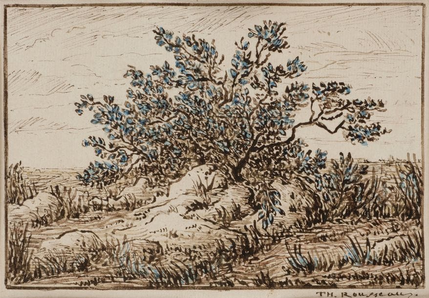 
Théodore ROUSSEAU (1812-1867)
Paysage
Aquarelle, plume et encre brune.
Signée en bas à droite.
12.5 x 18.5 cm