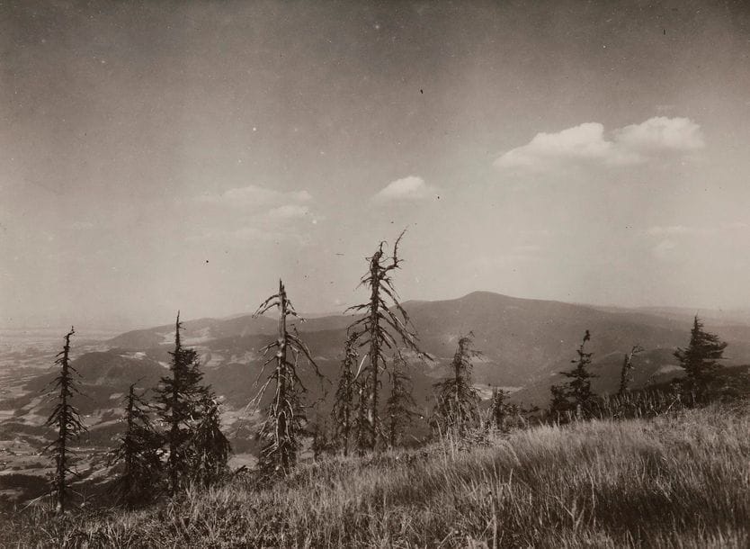 Josef Sudek (1896-1976)

La plaine de Beskydy, 1959. 

Épreuve argentique d'époque. Annotations manuscrites de la main de Petr Helbich (assistant de Josef Sudek) au verso. 

11,2 x 15,2 cm avec marges