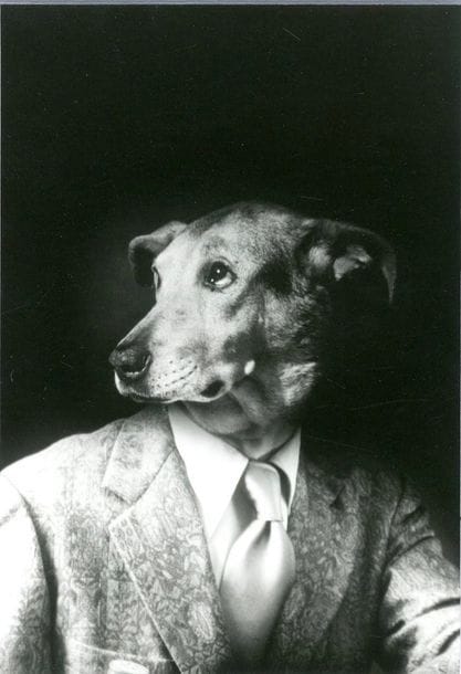 Frank Beyda & Janet Belden 

Photomontage à la tête de chien, 1974. 

Épreuve argentique d'époque. Tampon des photographes et annotations manuscrites "Photo faisant partie de l'exposition presonnelle présentée à la Fnac (avril-mail 1974)" et date au verso. 

18 x 12,5 cm
