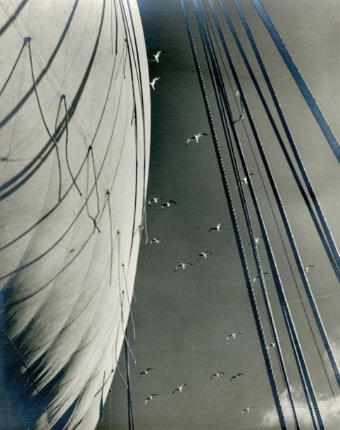 Bruno Miniati (1889-1974)

Vele Amerigo Vespucci, 1938.

Épreuve argentique d'époque sur papier Agfa-Brovira contrecollée sur carton. Timbre sec du photographe en bas à droite de l'image. Signature du photographe et légende manuscrite sur le montage.

29 x 23,5 cm