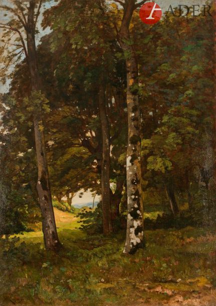 Henri Joseph HARPIGNIES (1819 - 1916)
Sous-bois, 1885
Toile
Signée et datée en bas à gauche.
(Rentoilée).
100 x 71 cm
