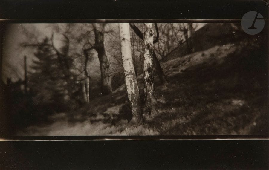 Josef Sudek (1896-1976)
Vue panoramique de la forêt de Mionsi, c. 1950-1960. 
Épreuve argentique d’époque. Tampon « Foto Sudek, Praha III » au verso. 
8,5 x 13,5 cm avec marges