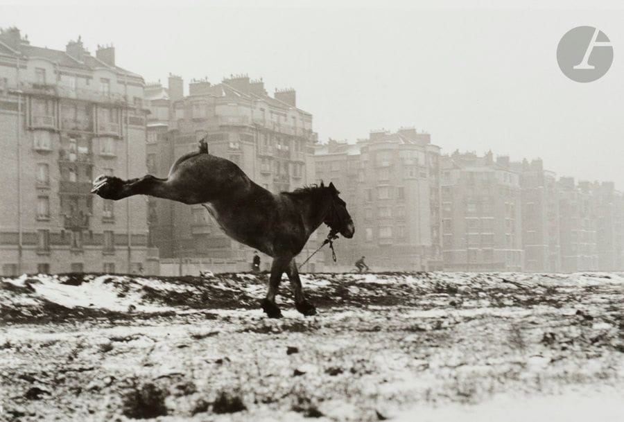 Sabine Weiss (1924)
Cheval ruant, Porte de Vanves, 1952.
Épreuve argentique (c. 1990) signée à l’encre dans la marge inférieure à droite. Numéro de négatif au crayon au verso. 
Image : 20 x 30,5 cm
Feuille : 30,3 x 40,5 cm