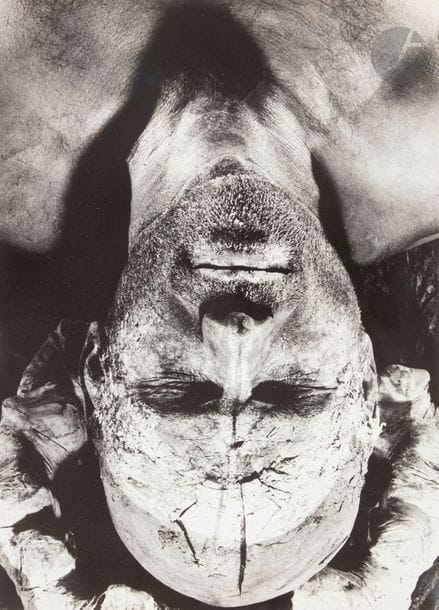 Dieter Appelt (1935)
Aus Liegender, de la série Erinnerungsspur, 1977-1979.
Épreuve argentique d’époque. Tampon du photographe, signature, date, titre et numérotation à 10 ex. au verso. Légers accidents (cassures et enfoncements). 
Image : 39,3 x 29,3 cm 
Feuille : 40,5 x 31 cm

Bibliographie: 
Wolf, Sylvia and Wieland Schmied. 1994, Dieter Appelt, Exh. cat. The Art Institute of Chicago. pl. 12.
Wood, James N. 2000, Treasures from The Art Institute of Chicago, Hudson Hills Press, Inc. p. 311.

Artiste photographe, Dieter Appelt travaille beaucoup à partir d’autoportraits. Son oeuvre se rapproche du body-art. Très influencé par Joseph Beuys et par les actionnistes viennois, il met en scène son propre corps dans des performances, des photographies et des films, devenant à la fois le sujet et l’objet de ses œuvres. Il opère souvent des fusions de son corps avec les matières du monde (terre, pierre...).