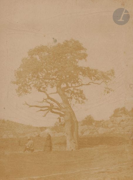 Gustave le Gray (1820-1884) 
Fontainebleau, c. 1849. 
Le peintre sous le Rageur. 
Épreuve sur papier salé-albuminé contrecollée sur carton souple par les bords. Timbre humide « Gustave Le Gray » à l‘encre rouge en bas à gauche. 
25,6 x 19 cm

« Un arbre, tout près de Barbizon, était fameux sous le nom du Rageur. C’était un chêne, d’une vieillesse fabuleuse, au tronc creusé et à moitié dénudé, qui crispait et tordait, comme dans un accès de fureur, ses branches desséchées, à peine garnies, de loin en loin, de quelques houppes de feuilles ».
Camille Pelletan, Une éducation Républicaine, Paris, non daté.