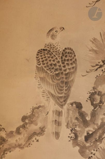 JAPON - Époque MEIJI (1868 - 1912)
Encre sur papier, rapace sur une branche de pin. 
129 x 53 cm ; montée en rouleau.