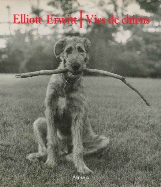 ERWITT, ELLIOTT (1928)
Six volumes, dédicacés et/ou signés par Elliott Erwitt.
*Das Handbuch.
Schirmer/Mosel, 2003.
In-8 (21,5 x 15,5 cm). Édition originale, brochée.
*Icons.
SilvanaEditoriale, 2012.
In-4 (28 x 23 cm). Édition originale, brochée. 96 pages.
*Vies de chiens.
Arthaud, 1992.
In-4 (29 x 25,5 cm). Édition originale française. 144 pages. Relié avec jaquette.
*Elliott Ewitt's Rome.
teNeues, 2009.
In-folio (37 x 28 cm). Édition originale. 144 pages. Relié avec jaquette.
*Elliott Erwitt's New York.
teNeues, 2008.
In-folio (37 x 28 cm). Édition originale. 144 pages. Relié avec jaquette.
*Regarding Women.
teNeues, 2014.
In-folio (37 x 28 cm). Édition originale. 304 pages. Relié avec jaquette.