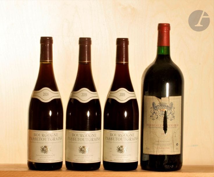 3 B BOURGOGNE PASSETOUGRAIN (e.t.h. légères), P.P.F., 2009
1 Mag BORDEAUX SUPÉRIEUR (e.t.a.), Savour Club, 1998