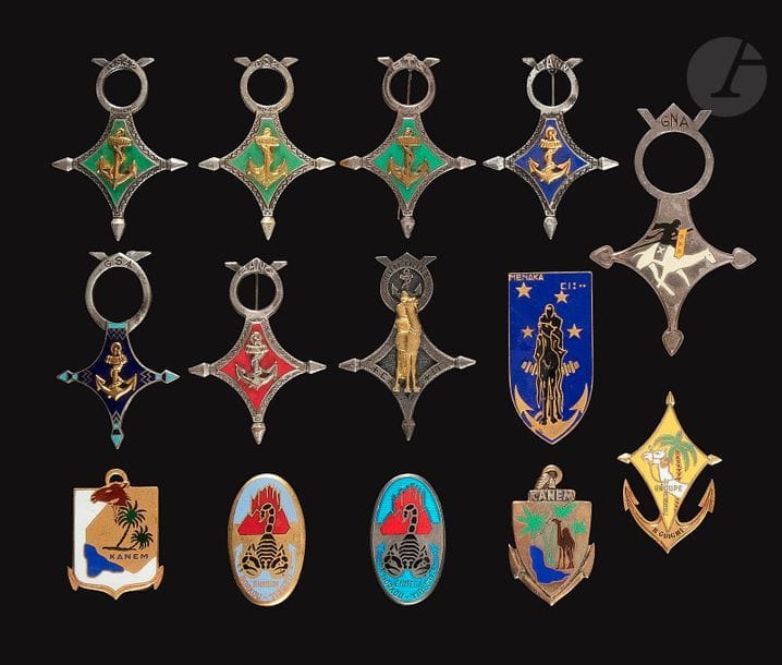 14 insignes Sahariens Troupes Coloniales - RTSN, BANO, BANN, GS n°2, n°4, n°42, GNA [ANC], GN Menaka, 2x GNBTE (1 en argent), 2x anem (1er et 2e modèle) GN N’Guimi, GN Timetrine. 