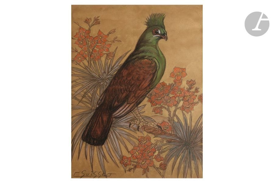 GASTON SUISSE (1896-1988)
Touraco vert
Pastel sur fond or.
Signé G. SUISSE en bas à gauche.
À vue : 61 x 41,5 cm

Provenance :
Collection particulière. 

Remerciements :
Nous adressons nos plus vifs remerciements à M. Dominique Suisse, fils et ayant droit de l’artiste, pour les précieuses informations qu’il nous a livrées au sujet de cette œuvre.