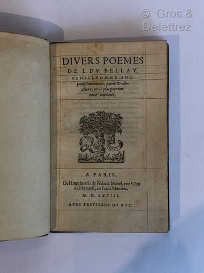 Joachim du BELLAY, gentilhomme angevin.

Divers...