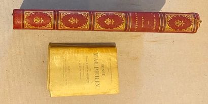 Edmond et Jules GONCOURT. Ensemble de 2 ouvrages:

-...
