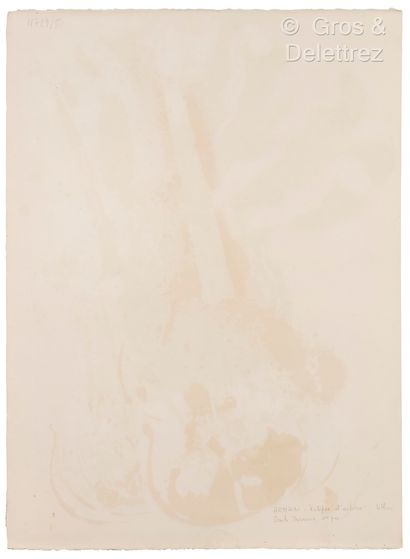 ARMAN (1928-2005)
Eclipse d'éclisses (Suite...