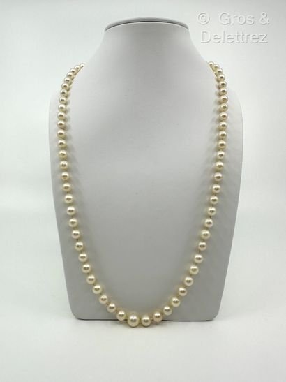Long collier composé d’un rang de perles...