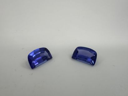 Lot de deux tanzanites taille fantaisie sur...