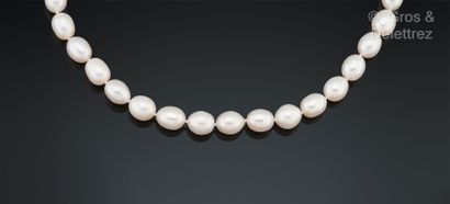 Collier d’un rang de perles de culture d’eau...