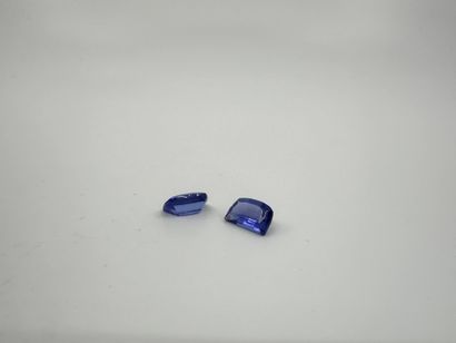 Lot de deux tanzanites taille fantaisie sur...