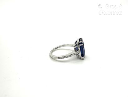 Travail français
Bague en or gris 750 millièmes...